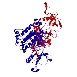 Image of CATH 1opj