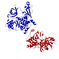 Image of CATH 1opl