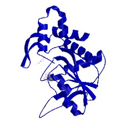 Image of CATH 1opr