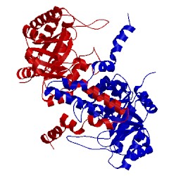 Image of CATH 1oqf