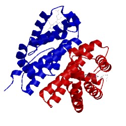 Image of CATH 1or6