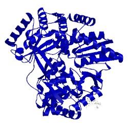 Image of CATH 1os5