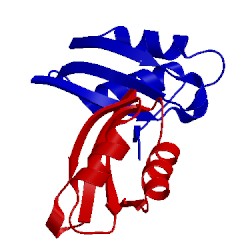 Image of CATH 1osd