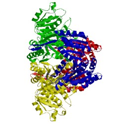 Image of CATH 1osi