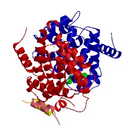 Image of CATH 1osv