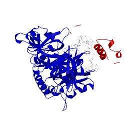 Image of CATH 1otc