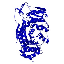Image of CATH 1otp