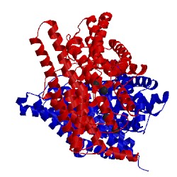 Image of CATH 1ots