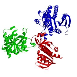 Image of CATH 1otx