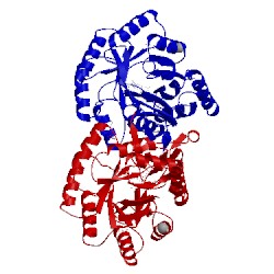 Image of CATH 1ovd