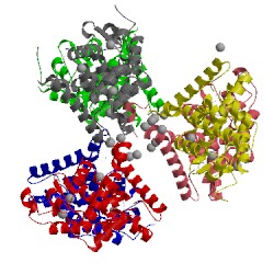 Image of CATH 1ovl