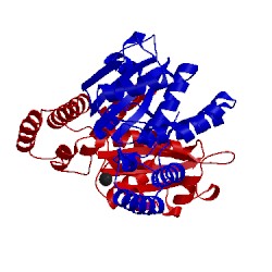 Image of CATH 1ovn