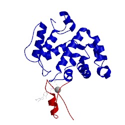 Image of CATH 1ow3