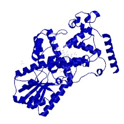 Image of CATH 1owl