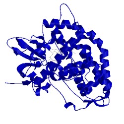 Image of CATH 1oxa