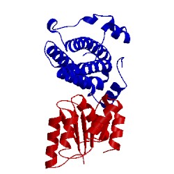 Image of CATH 1oxb