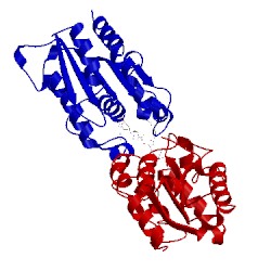 Image of CATH 1oxm