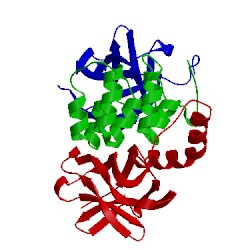 Image of CATH 1oy3