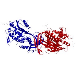 Image of CATH 1oyh