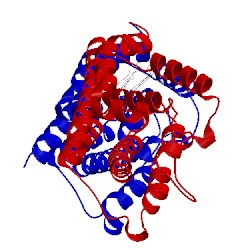 Image of CATH 1oyk