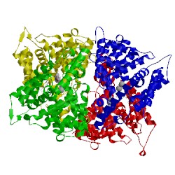 Image of CATH 1oyn