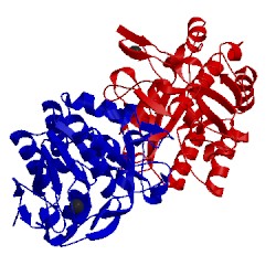 Image of CATH 1oyv