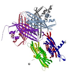 Image of CATH 1ozb