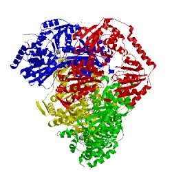 Image of CATH 1ozh
