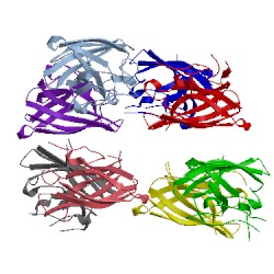 Image of CATH 1ozt