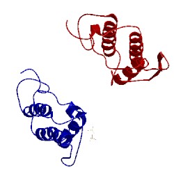 Image of CATH 1ozy