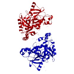 Image of CATH 1p16