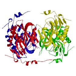 Image of CATH 1p17