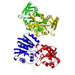 Image of CATH 1p1b