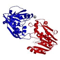 Image of CATH 1p1c