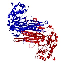 Image of CATH 1p1f