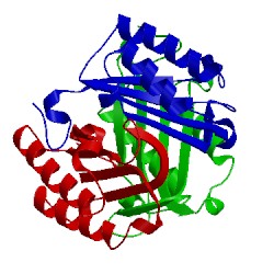 Image of CATH 1p1g