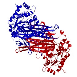 Image of CATH 1p1k