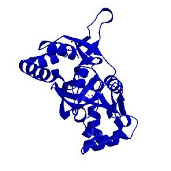 Image of CATH 1p1n