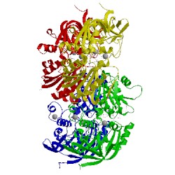 Image of CATH 1p1r