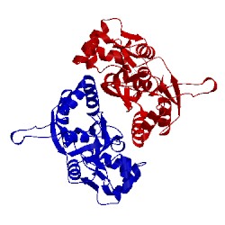 Image of CATH 1p1u