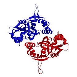 Image of CATH 1p1w