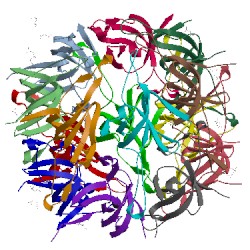 Image of CATH 1p3h