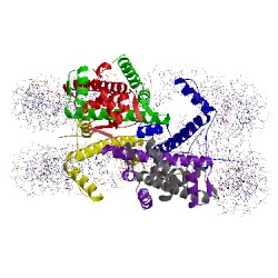 Image of CATH 1p3k