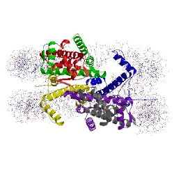 Image of CATH 1p3p