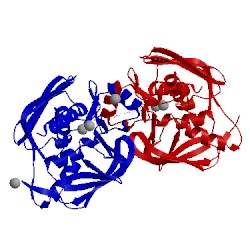 Image of CATH 1p42