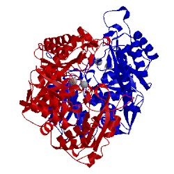 Image of CATH 1p43