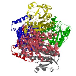 Image of CATH 1p44