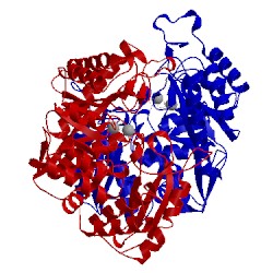 Image of CATH 1p48