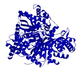 Image of CATH 1p4h