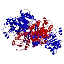 Image of CATH 1p4r